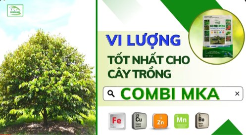 Vi lượng tốt nhất cho cây trồng | Những ưu điểm của Combi MKA