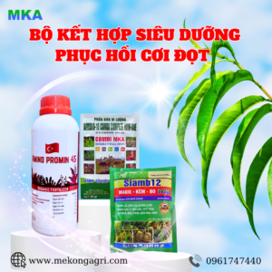 BỘ 3 SIÊU DƯỠNG - PHỤC HỒI CƠI ĐỌT