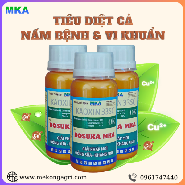 Dosuka MKA 33SC – Bước Tiến Mới Trong Bảo Vệ Cây Trồng: Kết Hợp Gốc Đồng & Kháng Sinh – Diệt Sạch Nấm Khuẩn Hiệu Quả Gấp Đôi"