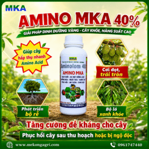 AMINO MKA – Amino Acid 40% Nhập Khẩu Ý Giúp Cây Phát Triển Khỏe, Phục Hồi Nhanh